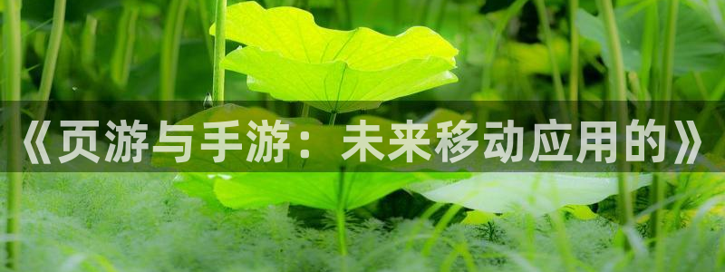 安信12娱乐