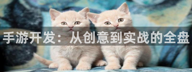 安信2娱乐