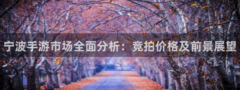 安信13娱乐注册：宁波手游市场全面分析：竞拍价格及前景展望