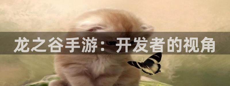 安信娱乐1：龙之谷手游：开发者的视角