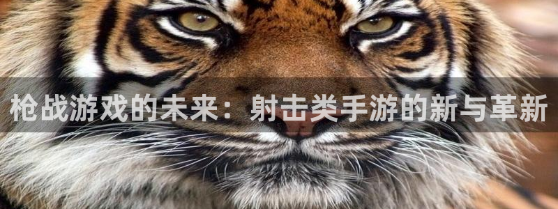 安信娱乐1：枪战游戏的未来：射击类手游的新与革新