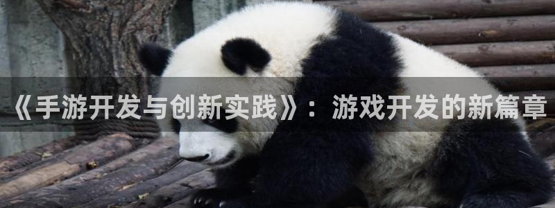安信娱乐2负责人：《手游开发与创新实践》：游戏开发的新篇章