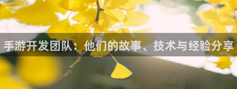 安信13娱乐注册：手游开发团队：他们的故事、技术与经验分享