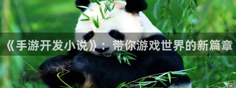 安信娱乐软件：《手游开发小说》：带你游戏世界的新篇章