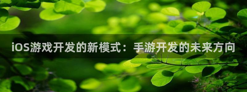 安信娱乐宝应网：iOS游戏开发的新模式：手游开发的未来方向