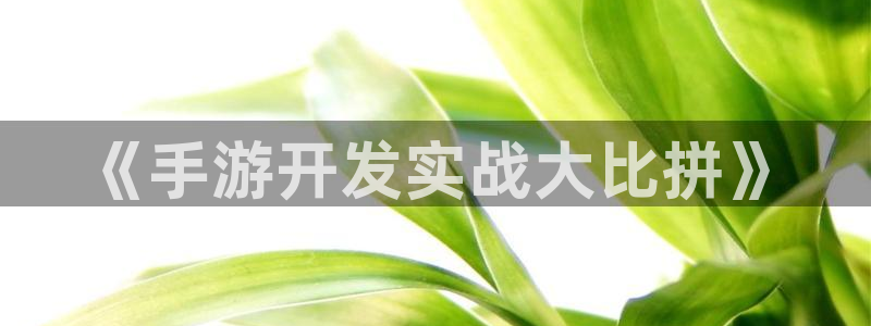 安信3娱乐注册：《手游开发实战大比拼》