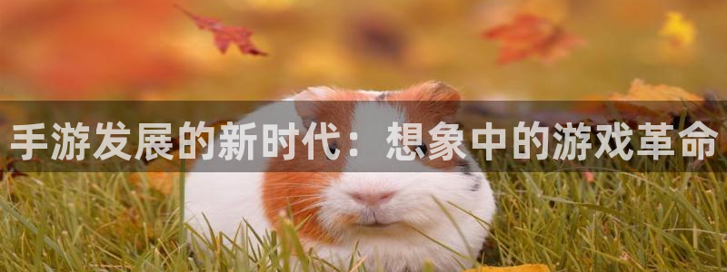 安信12娱乐注册：手游发展的新时代：想象中的游戏革命
