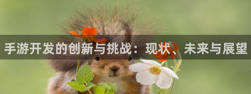 安信2娱乐：手游开发的创新与挑战：现状、未来与展望