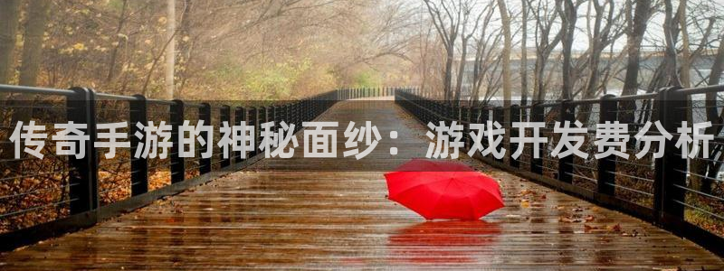 安信12娱乐注册：传奇手游的神秘面纱：游戏开发费分析