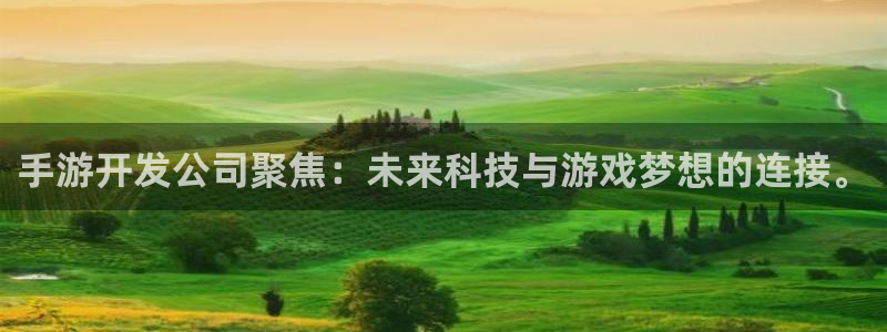 安信娱乐登入地址：手游开发公司聚焦：未来科技与游戏梦想的连接