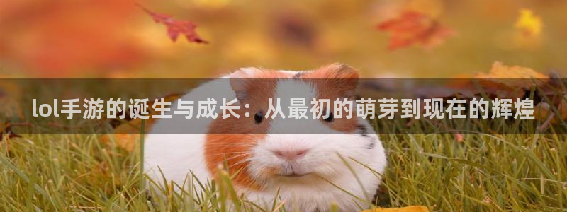 安信14娱乐注册：lol手游的诞生与成长：从最初的萌芽到现在