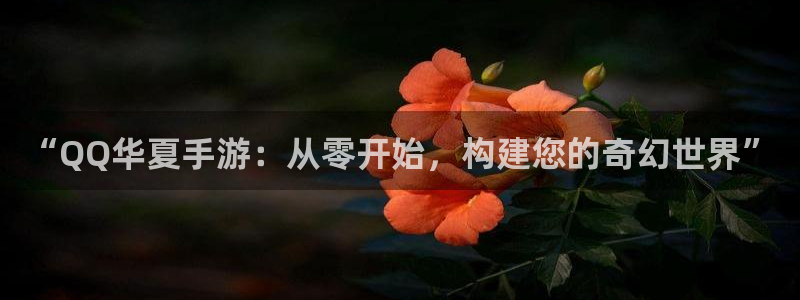 安信娱乐登入地址：“QQ华夏手游：从零开始，构建您的奇幻世界