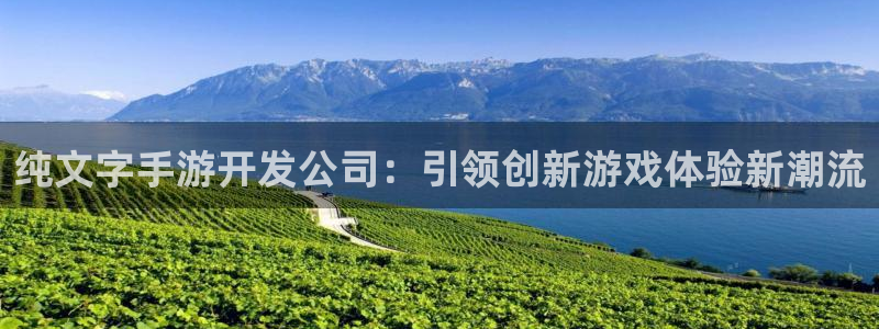 安信15娱乐：纯文字手游开发公司：引领创新游戏体验新潮流