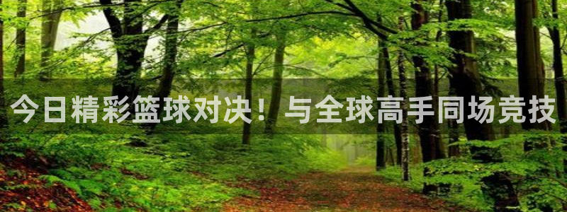 劲爆直播官网免费体育直播：今日精彩篮球对决！与全球高手同场竞技