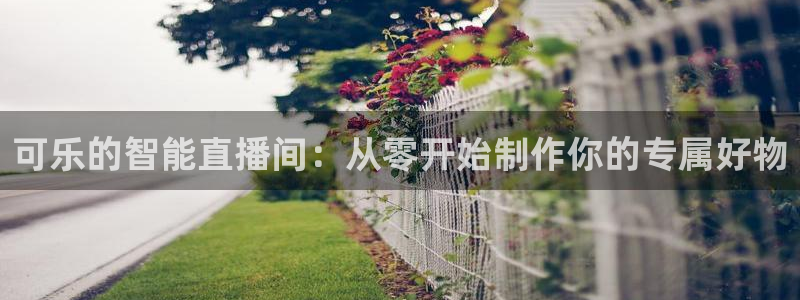下载劲爆体育nba直播：可乐的智能直播间：从零开始制作你的专属好物