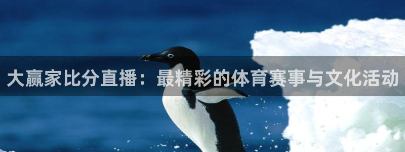劲爆体育nba直播视频免费观看：大赢家比分直播：最精彩的体育赛事与文化活动