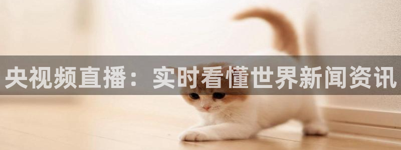 劲爆体育直播节目表：央视频直播：实时看懂世界新闻资讯