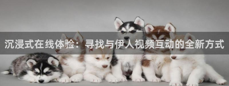 劲爆体育nba节目表：沉浸式在线体验：寻找与伊人视频互动的全新方式