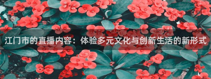 劲爆体育nba直播视频：江门市的直播内容：体验多元文化与创新生活的新形式