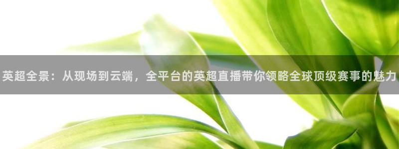 劲爆体育免费直播nba边看边玩1.新通道.club：英超全景：从现场到云端，全平台的英超直播带你领略全球顶级赛事的魅力