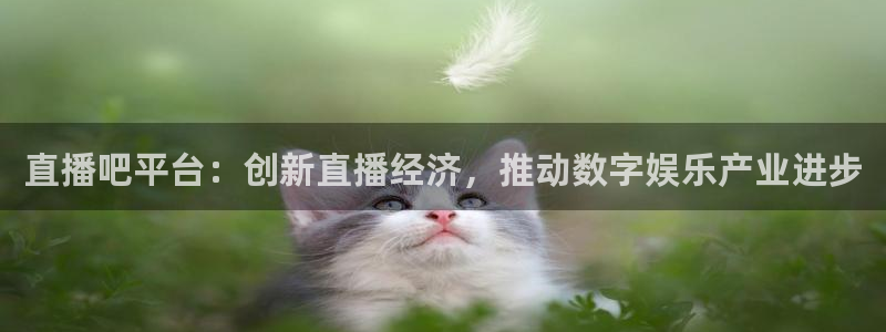劲爆体育nba在线直播播球帝：直播吧平台：创新直播经济，推动数字娱乐产业进步