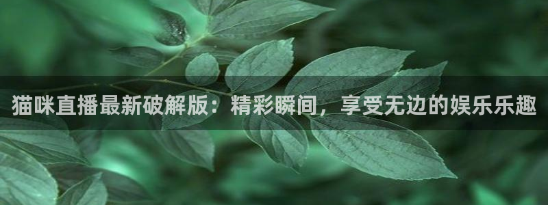 劲爆体育免费直播：猫咪直播最新破解版：精彩瞬间，享受无边的娱乐乐趣