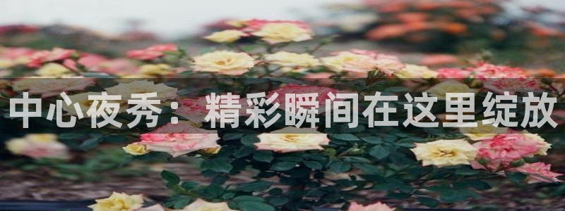 nba劲爆体育：中心夜秀：精彩瞬间在这里绽放